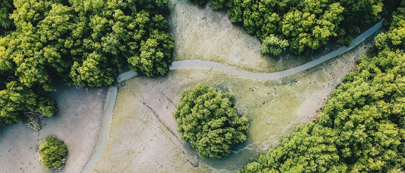 act_to_protect_our_environment