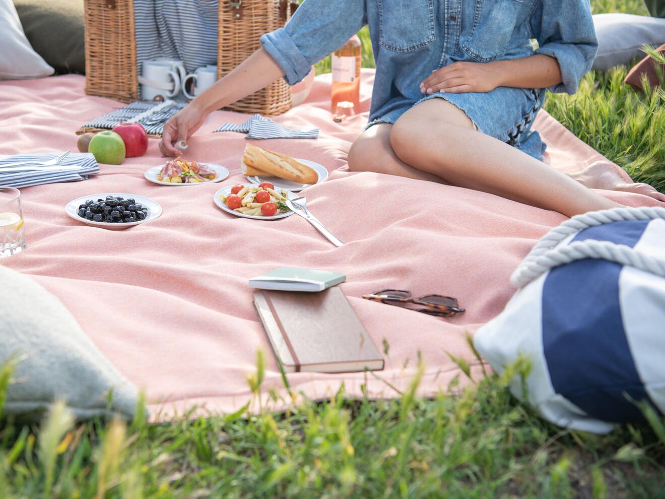 Picnic blanket FW-01