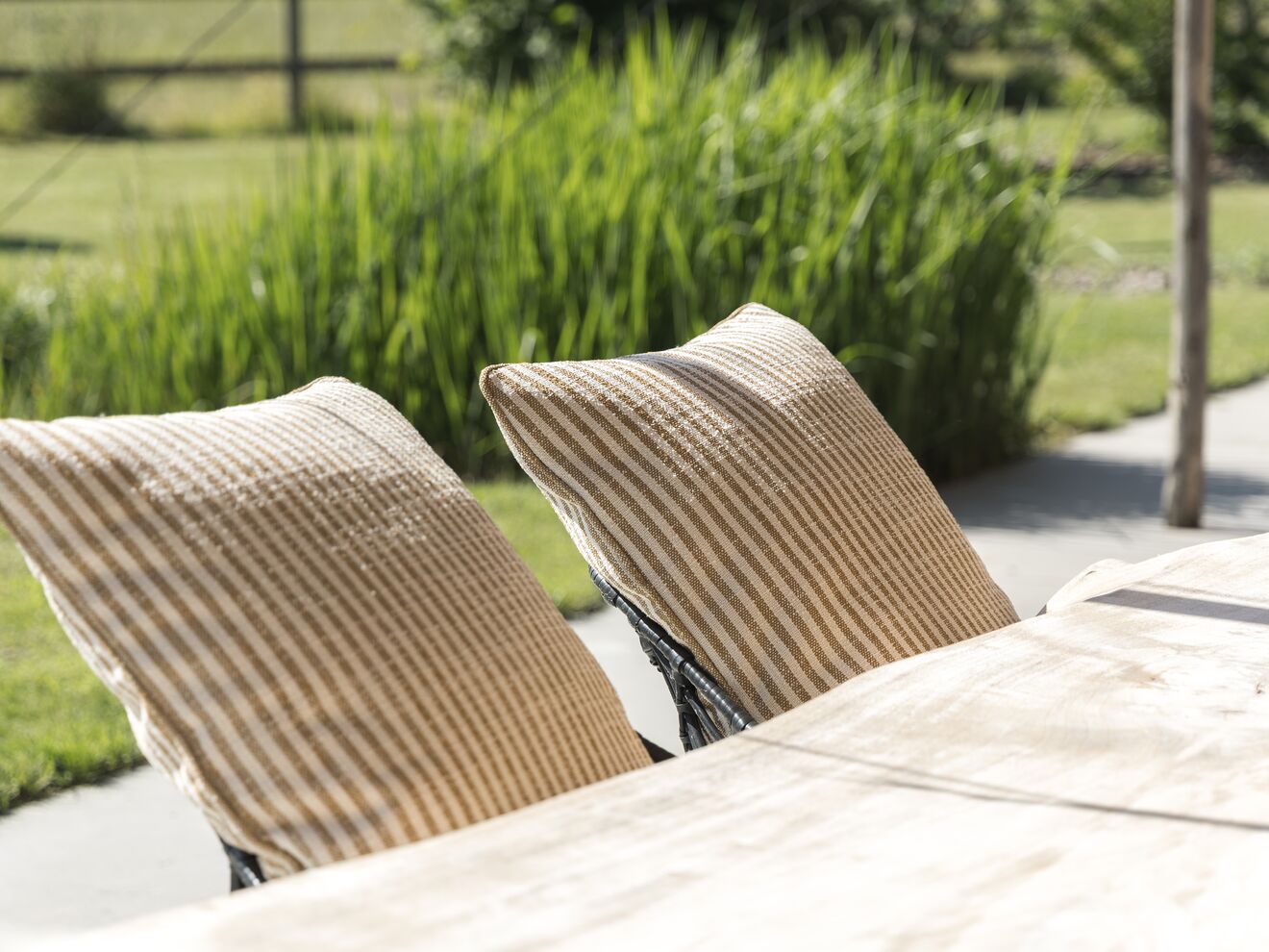fiqa_ft-04_lifestyle_garden-8.jpg